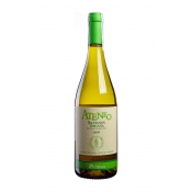 Вино Villa Montepaldi Ateneo Sauvignon Blanc Supertuscan белое сухое Италия 0.75
