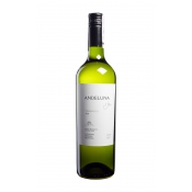 Вино Torrontes Andeluna белое сухое Аргентина 0.75